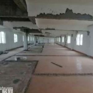 (急租)盘屿路 整层400平 只租2