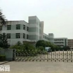 洋中工业区独栋厂房出售