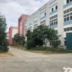 新到福州长乐空港独栋厂房出售