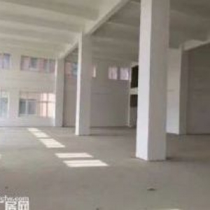 出售！50年独立标准厂房，可按揭！