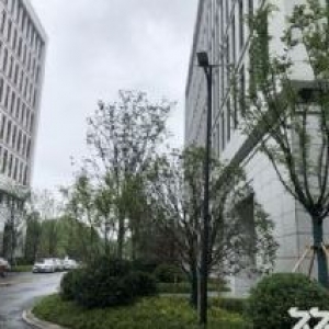 全新50年独立产权厂房 马尾自贸区 交通便利价格超低