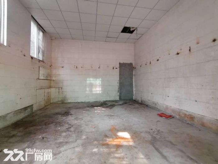 盘屿路 （一楼）33平 挂车好进出