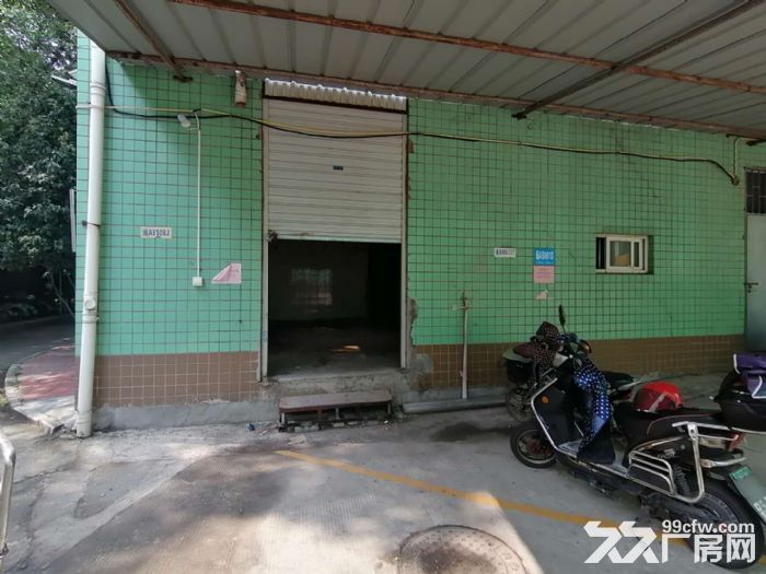 盘屿路 （一楼）33平 挂车好进出-图3