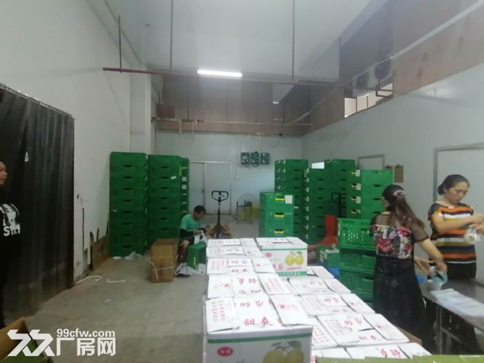 盘屿路 西营里市场 二楼161平方，带60平冷库