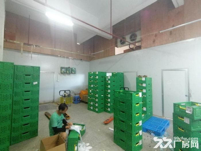 盘屿路 西营里市场 二楼161平方，带60平冷库-图2