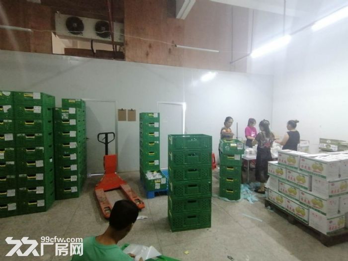 盘屿路 西营里市场 二楼161平方，带60平冷库-图3