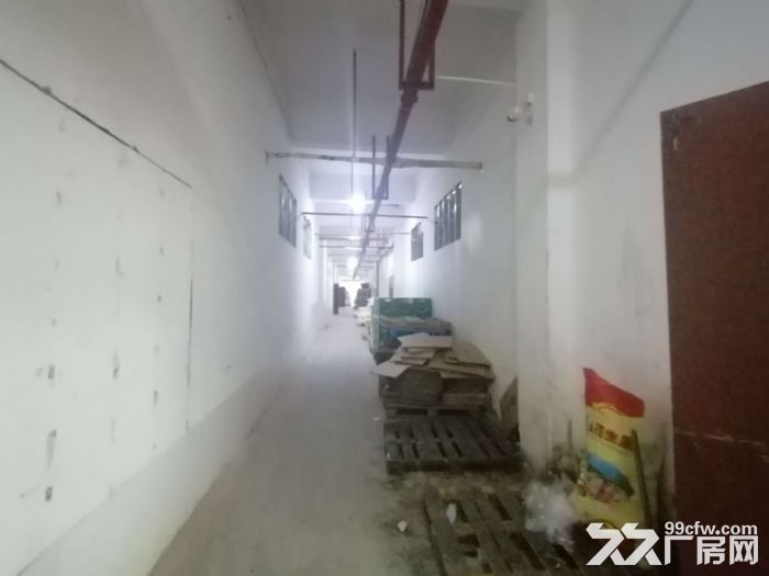 盘屿路 西营里市场 二楼161平方，带60平冷库-图4