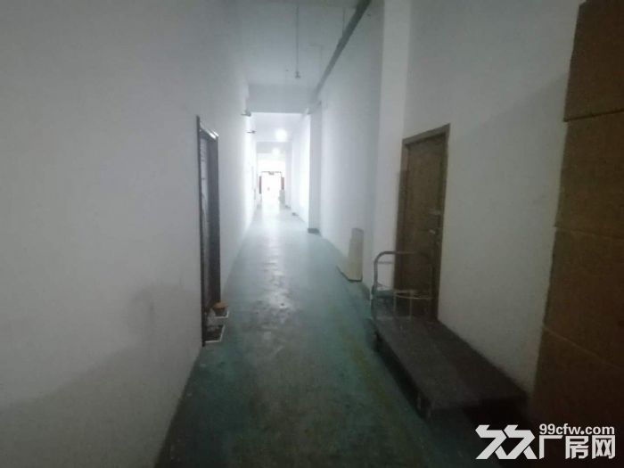仓山万达 浦上工业区D区 四楼140平 电梯可坐人 适合电商-图3