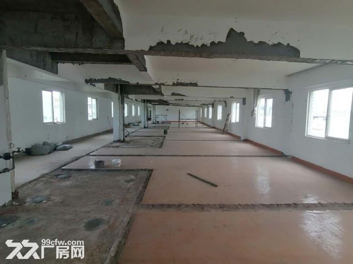 (急租)盘屿路 整层400平 只租21元 五楼有货梯