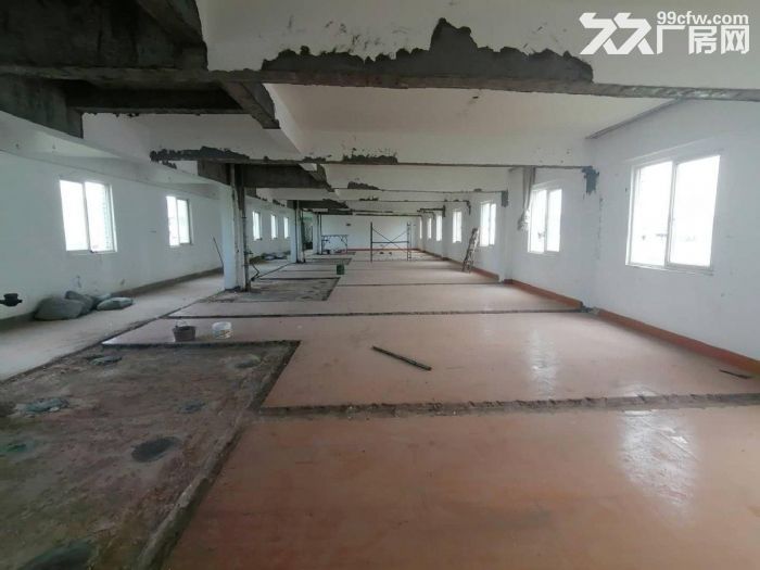 (急租)盘屿路 整层400平 只租21元 五楼有货梯-图4