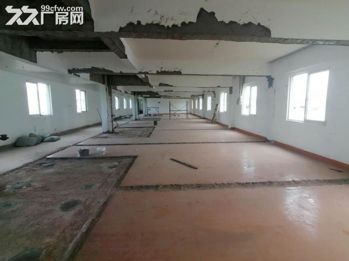 (急租)盘屿路 整层400平 只租21元 五楼有货梯-图2