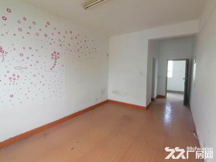(急租)盘屿路 整层400平 只租21元 五楼有货梯-图3