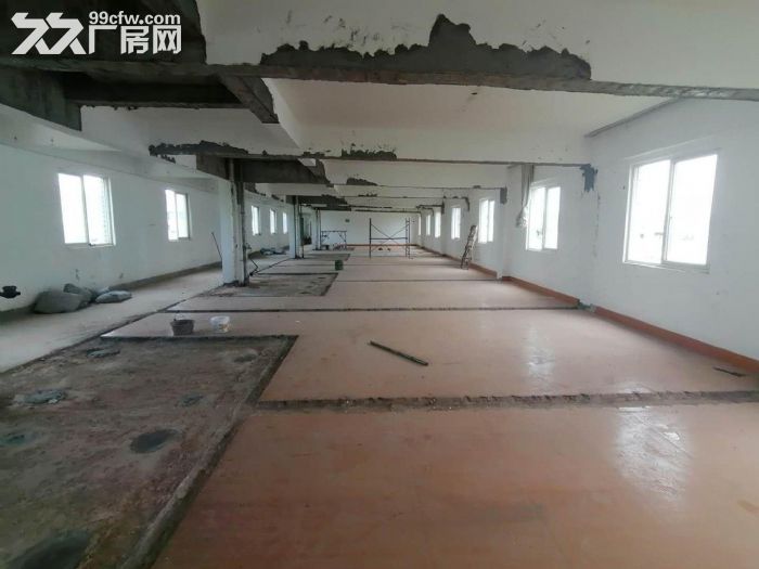 (急租)盘屿路 整层400平 只租21元 五楼有货梯-图6