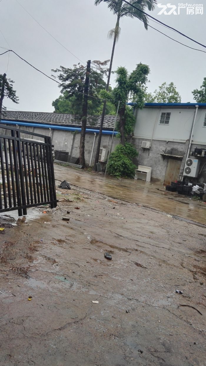 出租厂房  交通方便。-图4