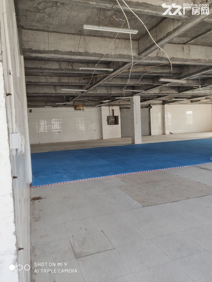 福州仓山区福尔生态园大量厂房仓库出租-图3