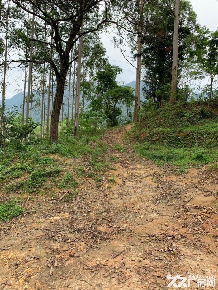 闽侯竹岐物流厂房场地出租，钢架12米高，有7万平可分租