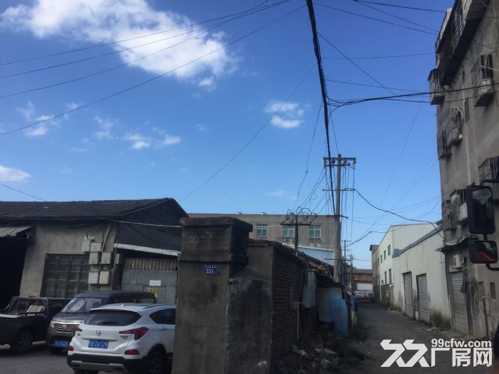 义序尚保村233号三环内-图2