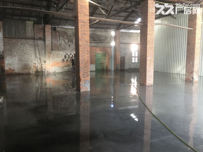 义序尚保村233号三环内-图3