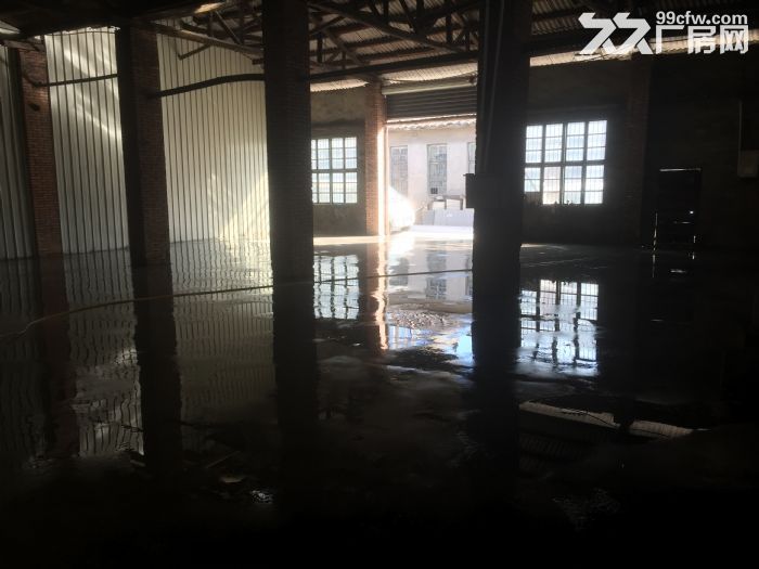 义序尚保村233号三环内-图4