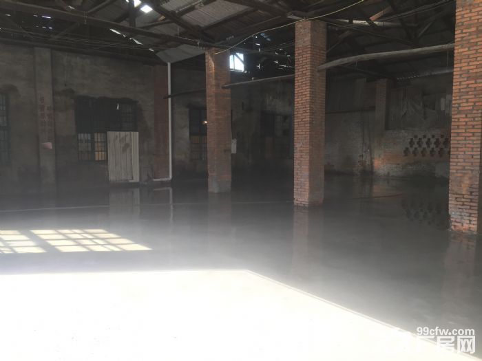 义序尚保村233号三环内-图5