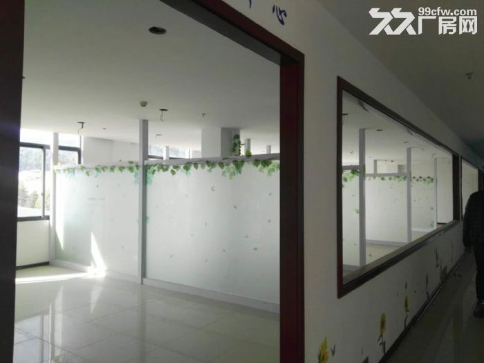 闽侯荆溪镇铁岭工业区独栋混凝土结构厂房出租-图3