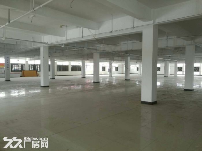 闽侯荆溪甘蔗铁岭工业区混凝土结构厂房出租-图4