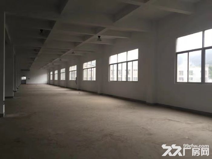 甘蔗镇 铁岭工业区沿甘洪路一期厂房