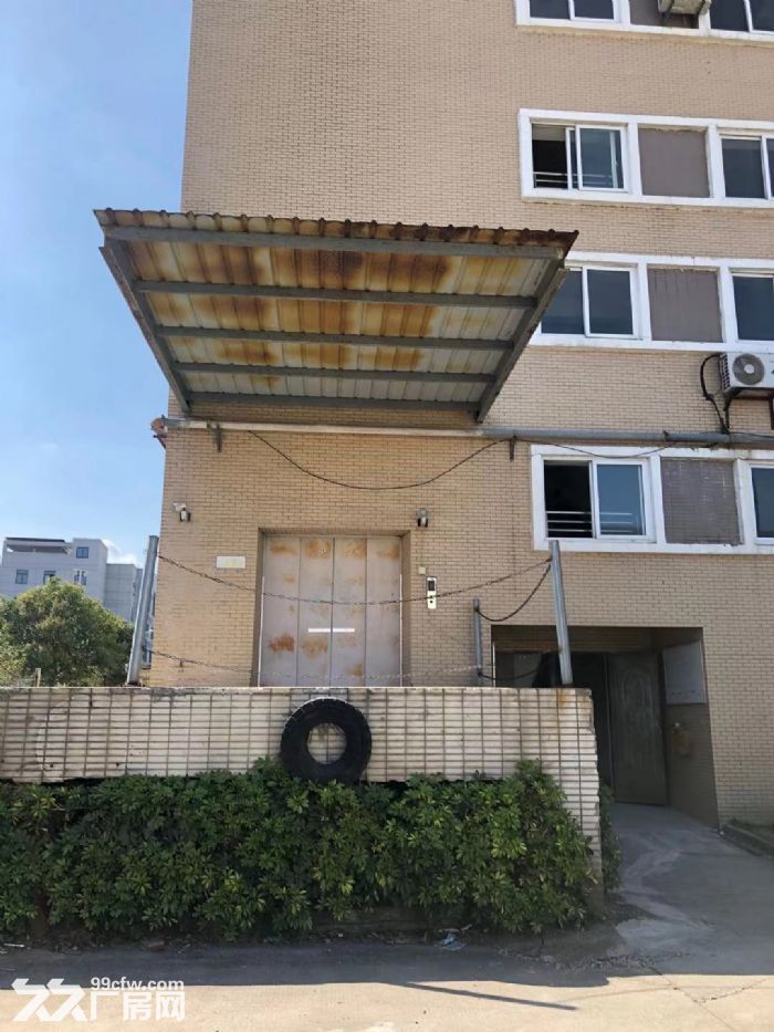 马尾亭江7100平方自有厂房出租，无中介费，可分租-图3