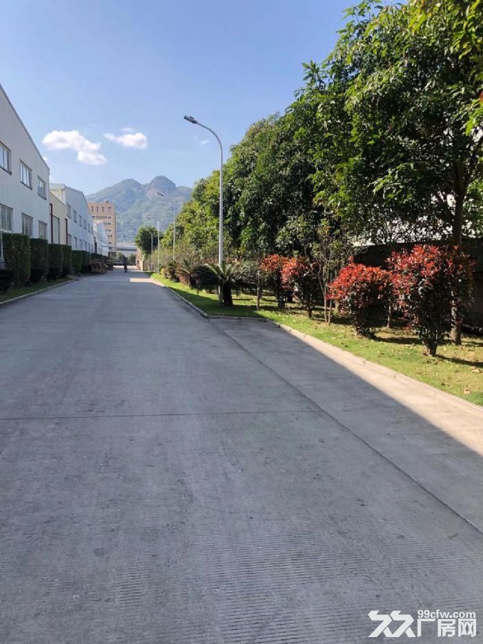 马尾亭江7100平方自有厂房出租，无中介费，可分租-图4